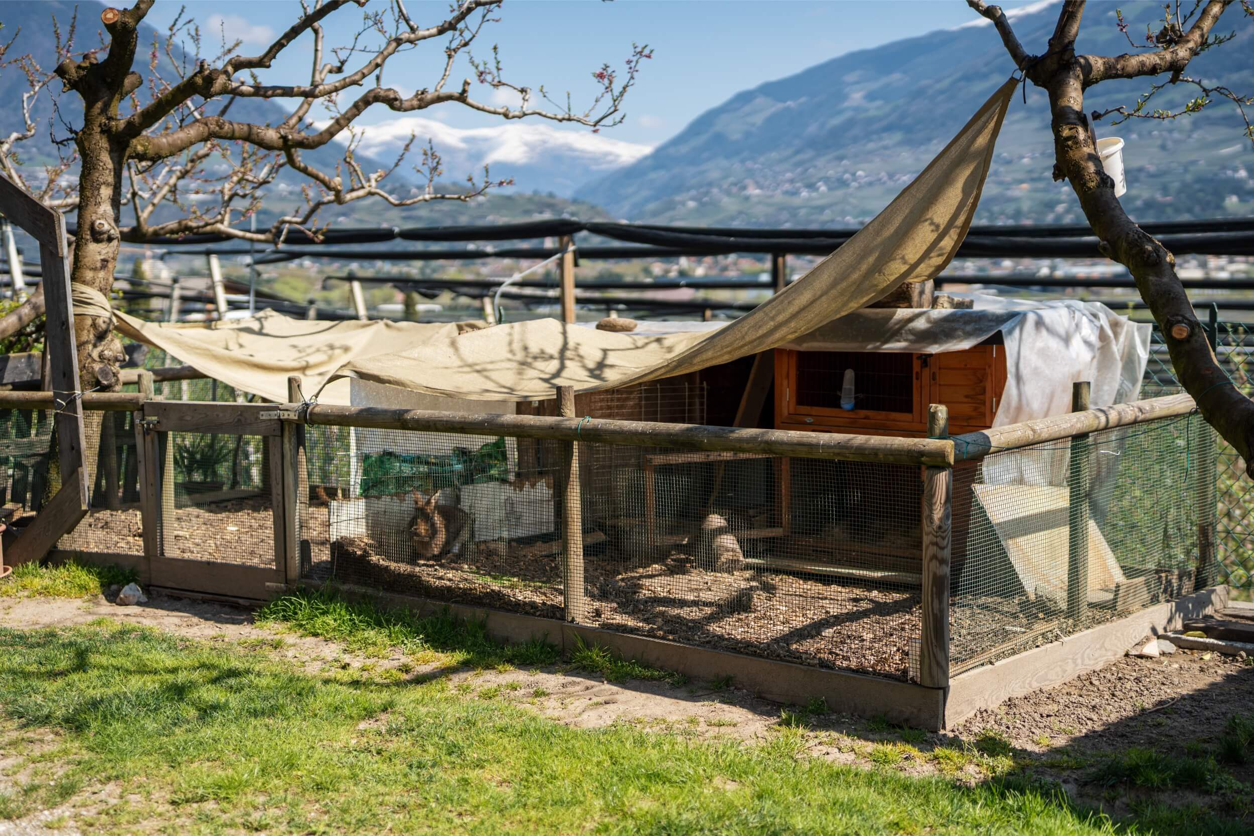 Burggräflerhof Detail 26